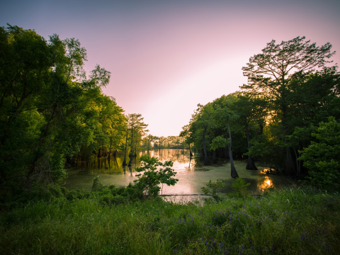 Mississippi
