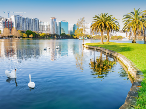 Orlando