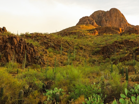 Tucson