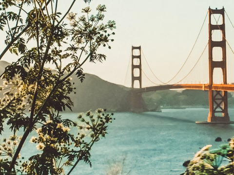 Bay Area