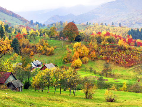 New England