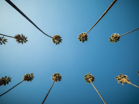 Los Angeles